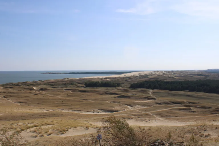 Ausblick auf die Sandwüste der kurischen Nehrung