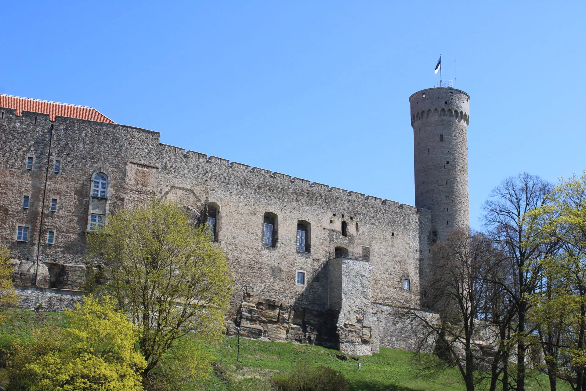 Langer Hermann in Tallinn